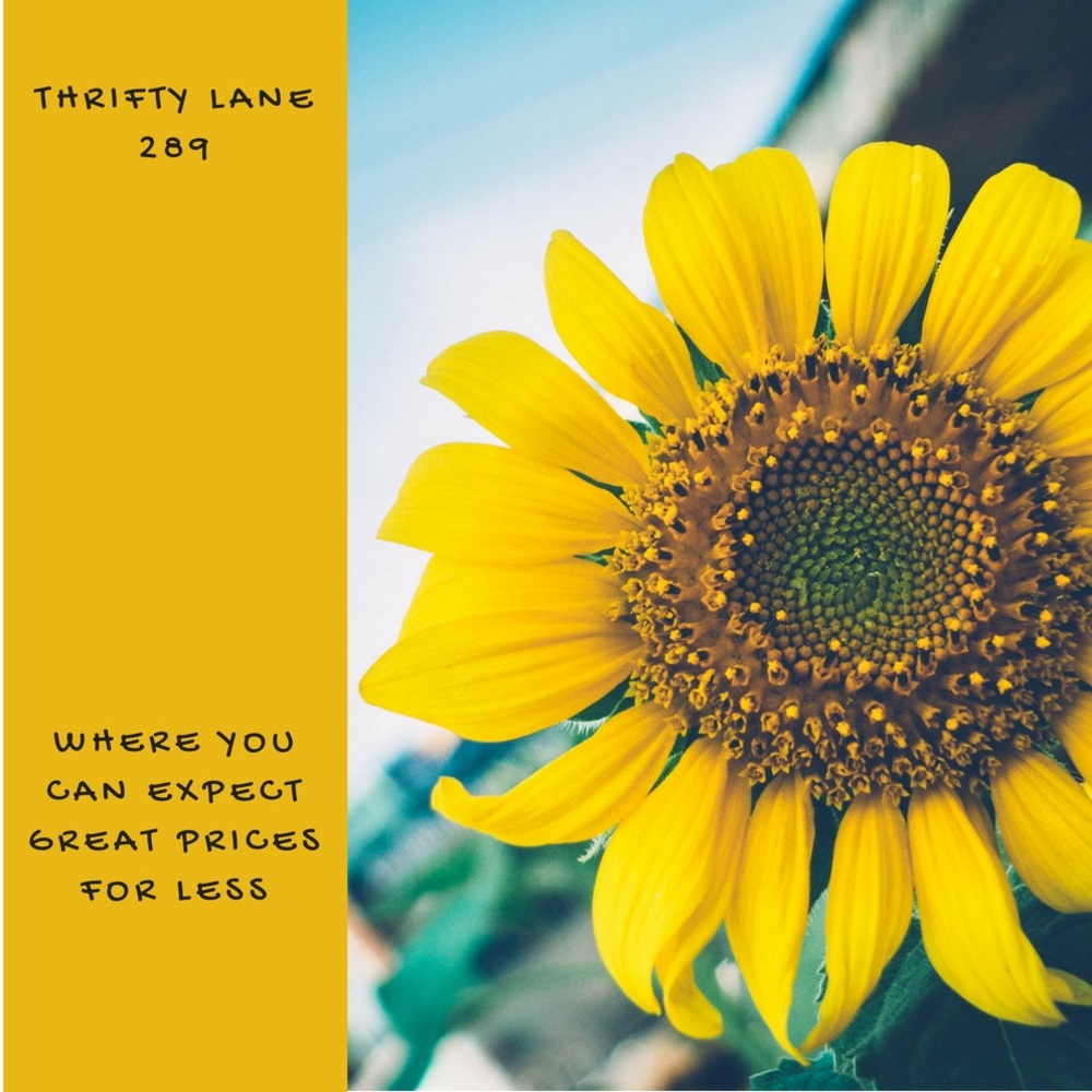 🌻Meet your Posher, Thrifty Lane 289🌻